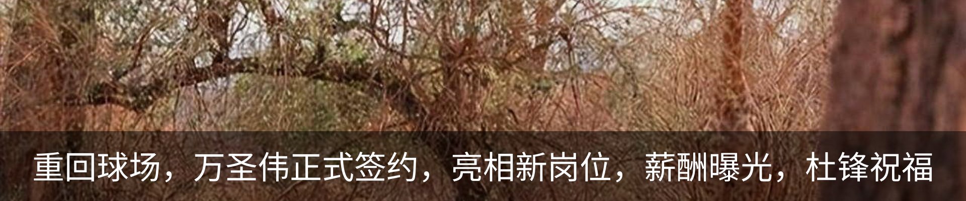 资讯动态
